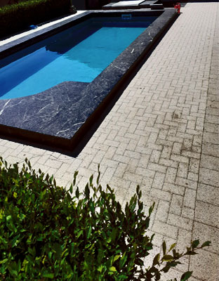 parteneri elis pavaje